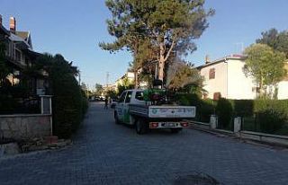 Süleymanpaşa’da vektör ve uçkun mücadelesi...