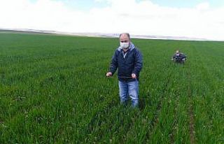 Süne mücadelesi çalışmalarında 20 yılın en...