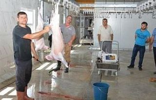 Sungurlu’da kurban kesim yerleri belirlendi