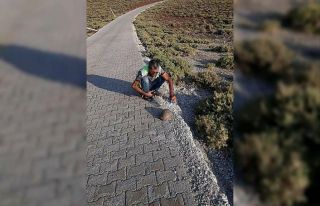 Susuzluktan bitkin düşen kaplumbağaya eliyle su...