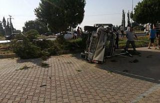 Takla atan kamyonet ağacı devirerek durabildi