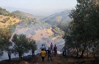 Tarım arazisinde çıkan yangın kontrol altına...