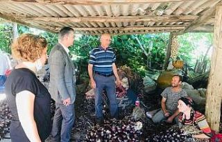 Tarım İl Müdürü Alkan Erdek’te