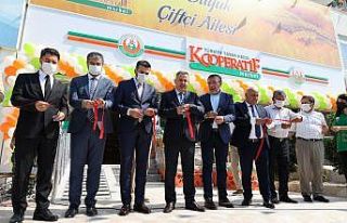 Tarım Kredi Kooperatif Market’in 365. şubesi Adana’da...