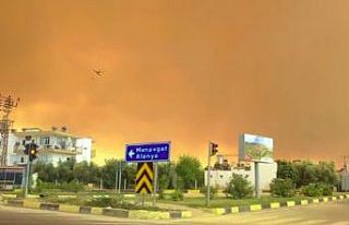 Tarım ve Orman Bakanı Pakdemirli, Antalya’daki...