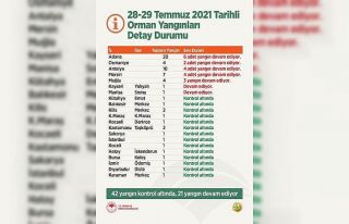 Tarım ve Orman Bakanı Pakdemirli, orman yangınlarına...