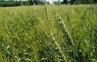 Tarıma 1,6 milyon TL destek