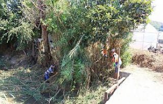 Tarımsal sulama kanallarında temizlik