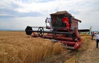 Tarla Günü’nde binlerce dekar hububatın hasadına...