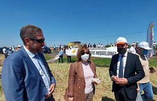 TARSİM, Tekirdağ ilinde kanola ve buğday hasadına...