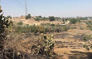 Tarsus’ta bahçedeki yangında 43 ağaç zarar gördü