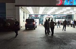 Tartıştığı iki kardeşinin silahla vurarak öldürdü