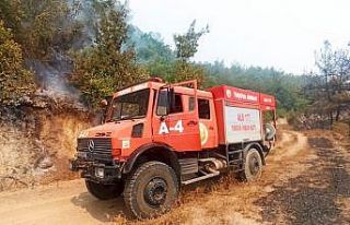 Taşova Orman İşletme Kadirli’de