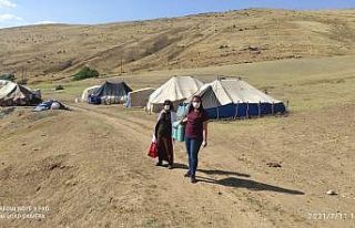 Tatvan’da aşı çalışması devam ediyor