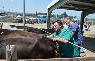 Tavşanlı Kurban pazarında denetim