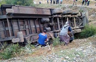 Tır şarampole devrildi: 3 kişi yaralandı, 160...