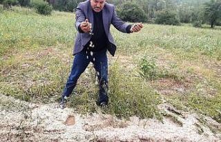 Tokat’ta dolu yağışı tarım arazilerini vurdu