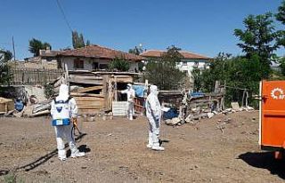 Tokat’ta kuş gribi şüphesi