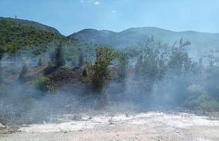 Tokat’ta, ot yangını ormanlık alana sıçramadan...