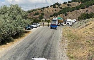 Traktörden düşen genç hayatını kaybetti, ağabeyi...