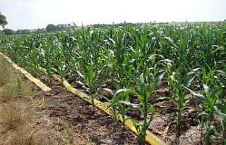 Trakya’da sulama sezonu devam ediyor