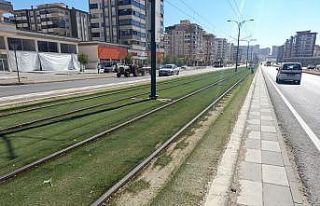 Tramvay genç kıza çarptı: 1 yaralı