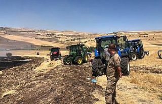 Tunceli’de 150 dönümlük ekili alan küle döndü