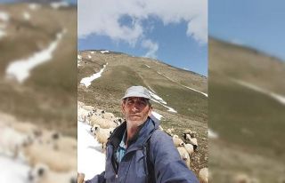 Tunceli’de ayı saldırısına uğrayan vatandaş...