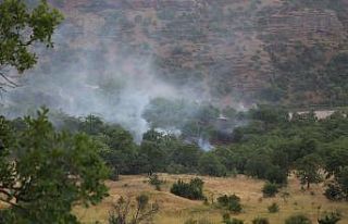 Tunceli’de piknikçilerin olduğu alana yıldırım...