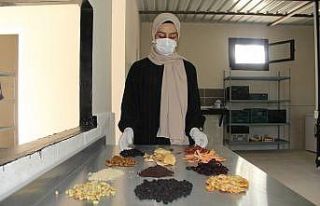 Tunceli’den çıkan kurutmalıklar 2 ülke ve 14...