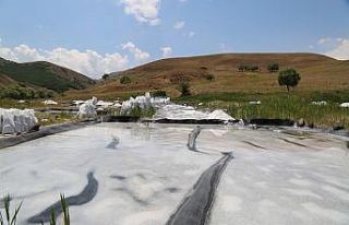 Tunceli’den dünyaya ihraç edilen tuzun üretimi,...