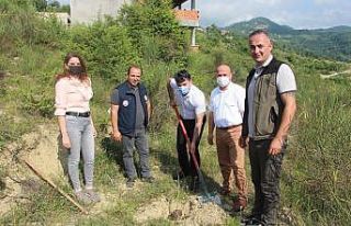 Türkeli’de 15 Temmuz şehitleri anısına fidan...