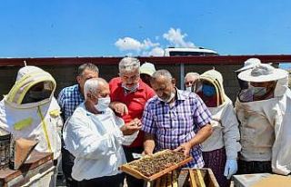 Türkiye Arı Yetiştiricileri Merkez Birliği Başkanı...