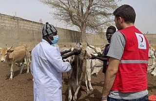 Türkiye ve 21 ülkede kurban kesimleri başladı
