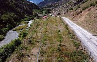 Türkiye’nin dört bir tarafından gönderilen fidanlar...