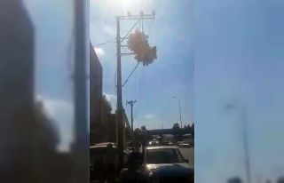 Uçan balonlar için canlarını hiçe saydılar
