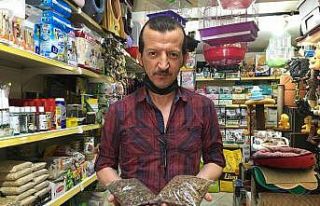 Ucuz kedi mamaları hayvan sağlığını tehdit ediyor