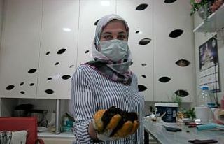 Ucuza satılan bitki toprakları sineklenmeye yol...