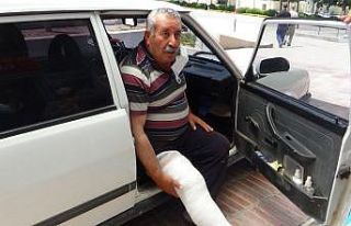 Üstüne inek düştü, sağ bacağı kırıldı