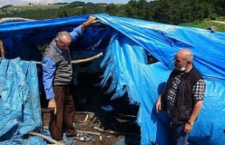 Üzerine yıldırım düşen 4 yaşındaki çocuk...