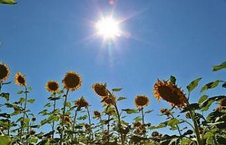 Uzman Dr. Kunt’tan ‘Güneş çarpması’ uyarısı