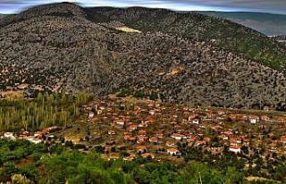 Vakalar arttı, Çorum’da İnalcık köyü 14 gün...