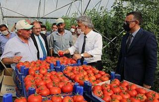 Vali Makas, seralarda incelemelerde bulundu