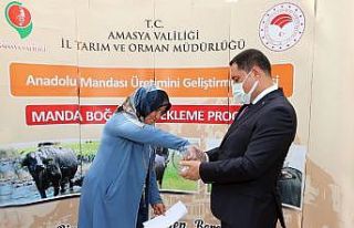 Vali Masatlı: “Tarım ve hayvancılık alanındaki...