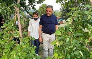 Vali Şıldak tarımda yeni ve modern girişimleri...