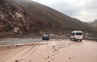 Van-Hakkari karayolunda heyelan