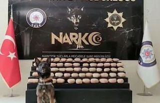 Van’da 62 kilo 700 gram toz esrar ele geçirildi
