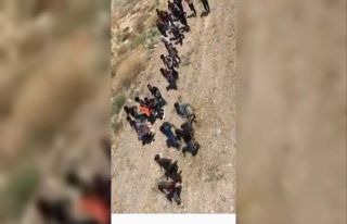 Van’da arazide yürüyerek ilerleyen 113 düzensiz...