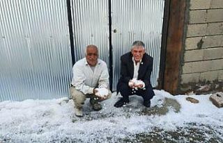 Van’da dolu yağışı bir mahalleyi beyaza bürüdü