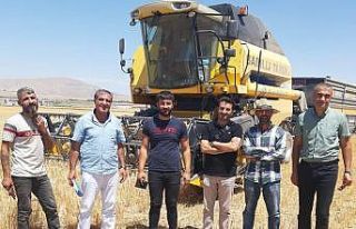 Van’da hububat hasadı başladı